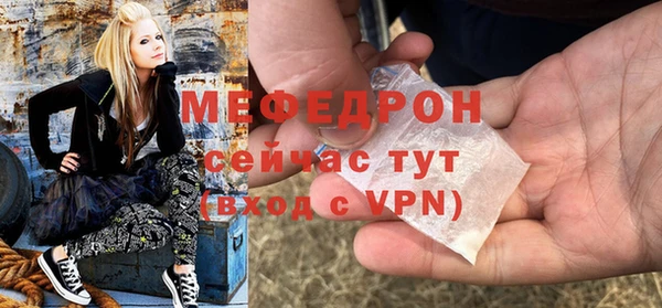 МДПВ Бородино