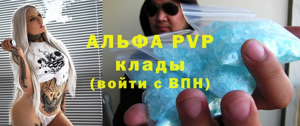 МДПВ Бородино