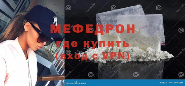 МДПВ Бородино