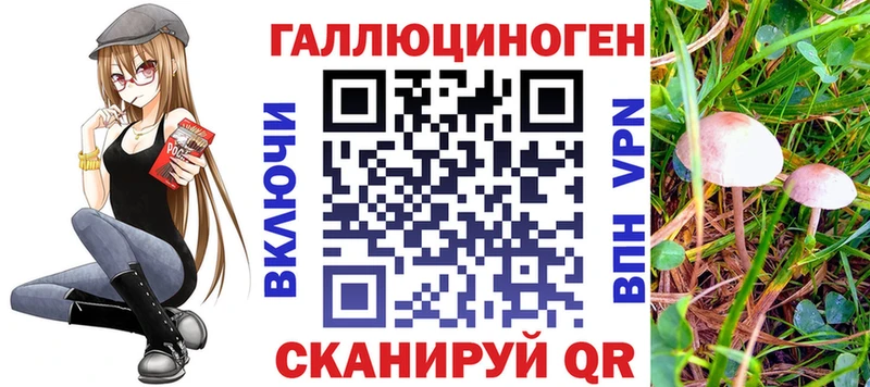 Псилоцибиновые грибы Magic Shrooms  Купить закладки  Микунь 
